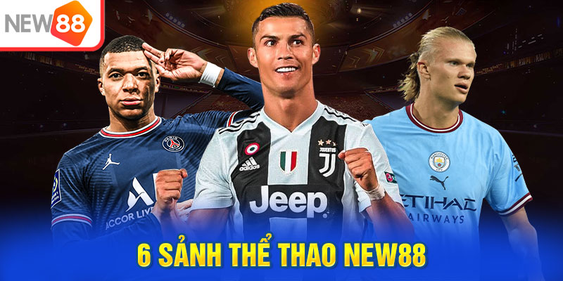 6 sảnh thể thao NEW88 hiển thị trên website