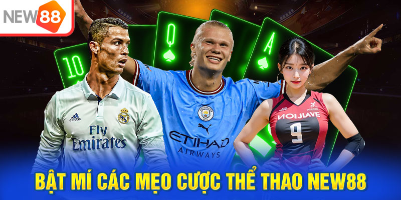 Bật mí các mẹo cược thể thao NEW88 ai cũng áp dụng được