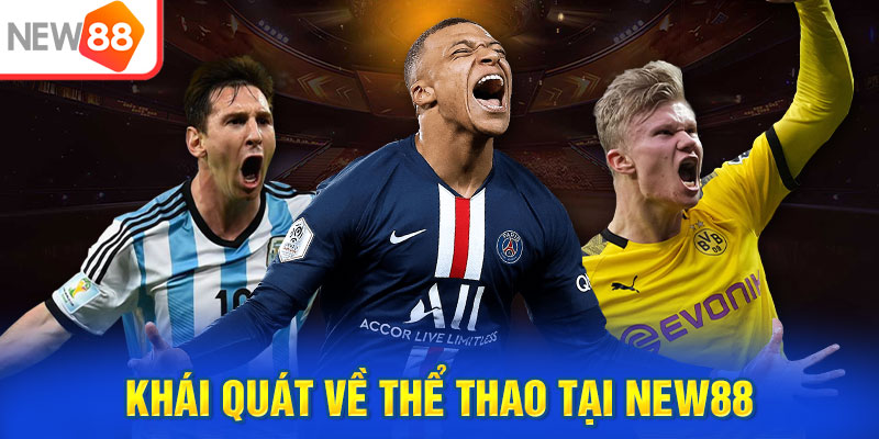 Khái quát về thể thao tại NEW88
